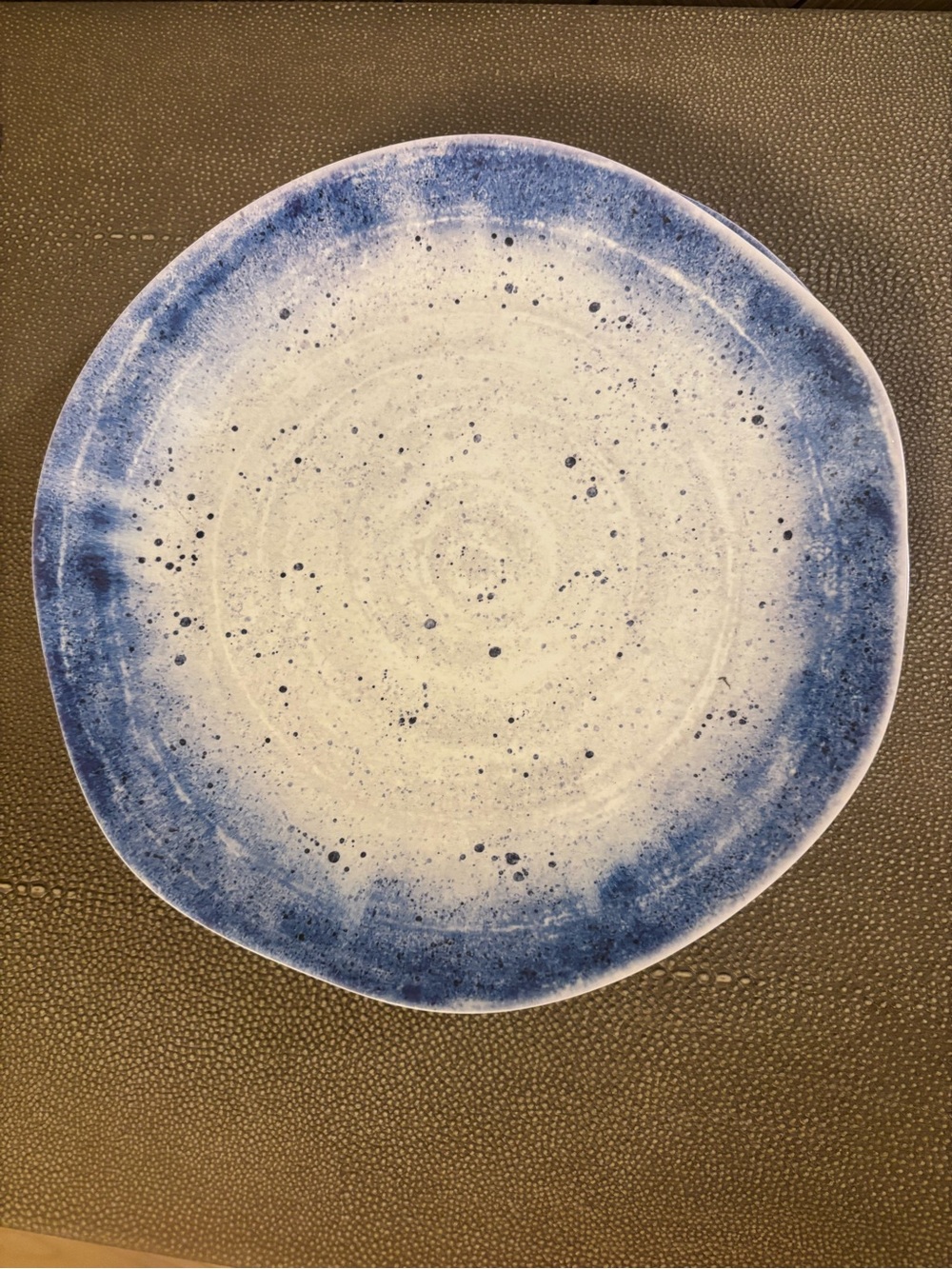 Set of 6 Melamine Dinner Plates